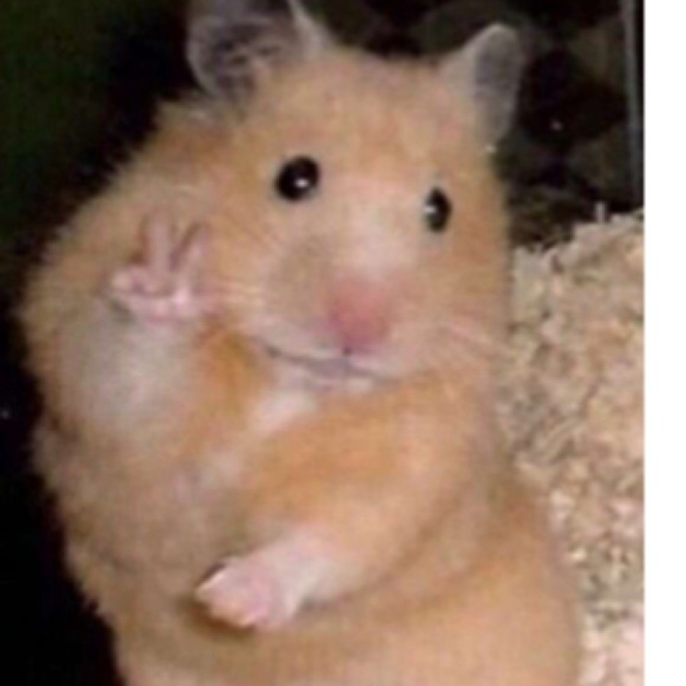 Meet your Posher, Yosellyn